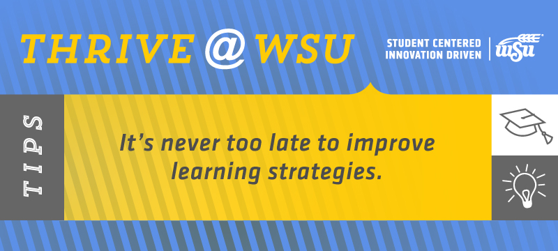 SEM Tip for Feb. 18, 2019