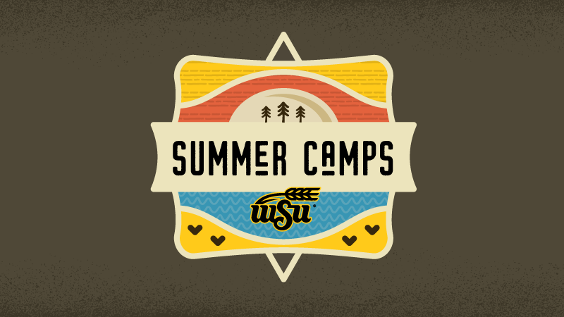 Summer camps