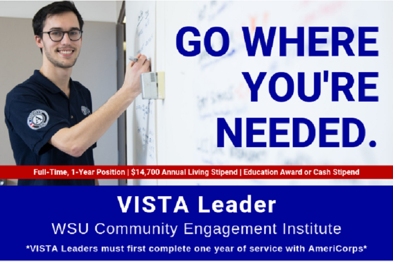 VISTA opportunities