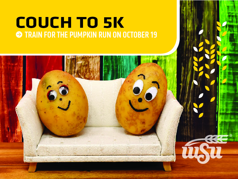 Training for Pumpkin Run 2019