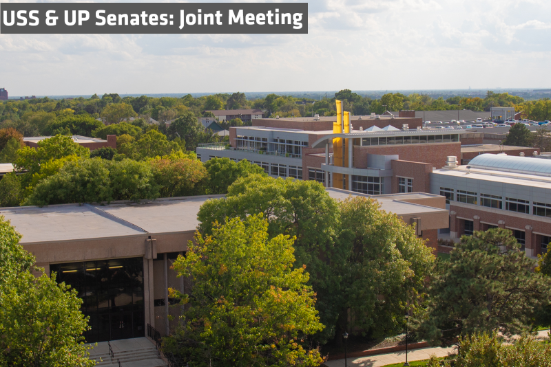 Joint Senate meeting