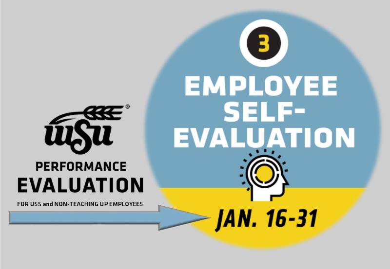 Employee self-evaluation