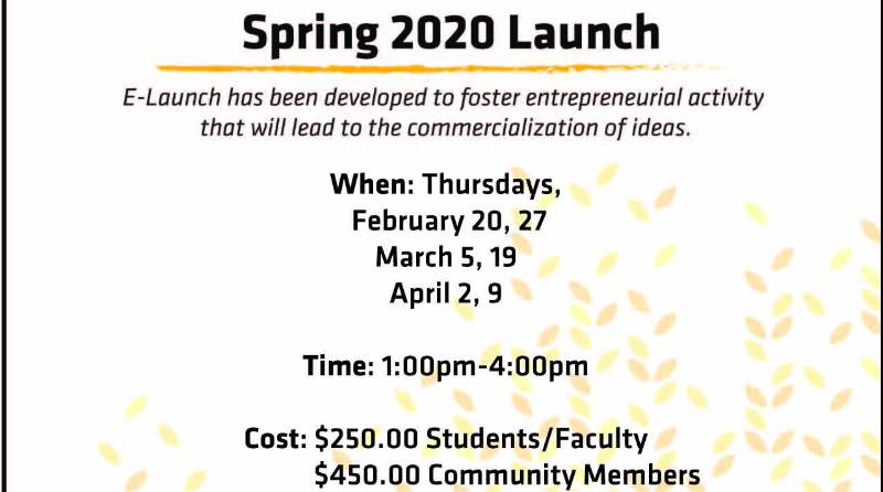 E-Launch spring 2020