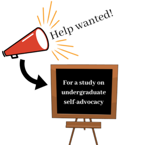 Self-Advocacy study