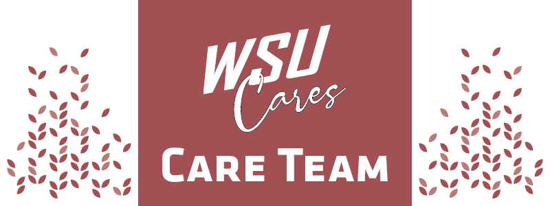 Care Team newsletter