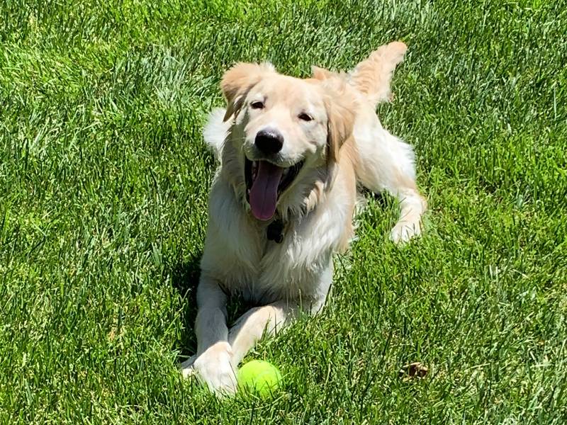 Rudy