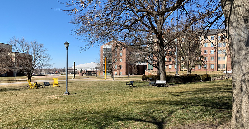 Lawn of Morrison Hall