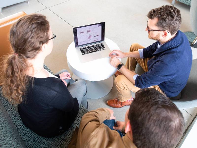 Small group looking at analytics on laptop