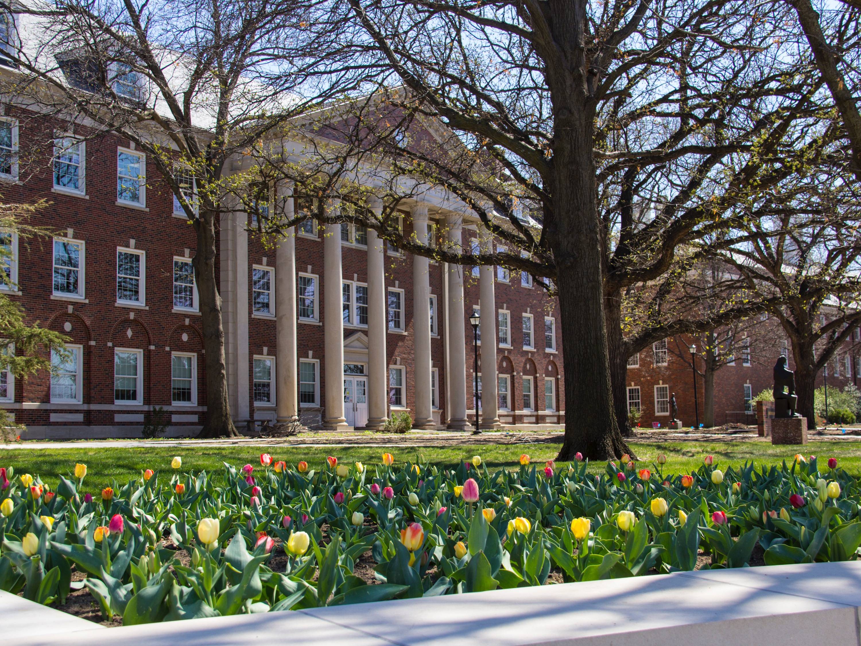 Jardine Hall with tulips in front