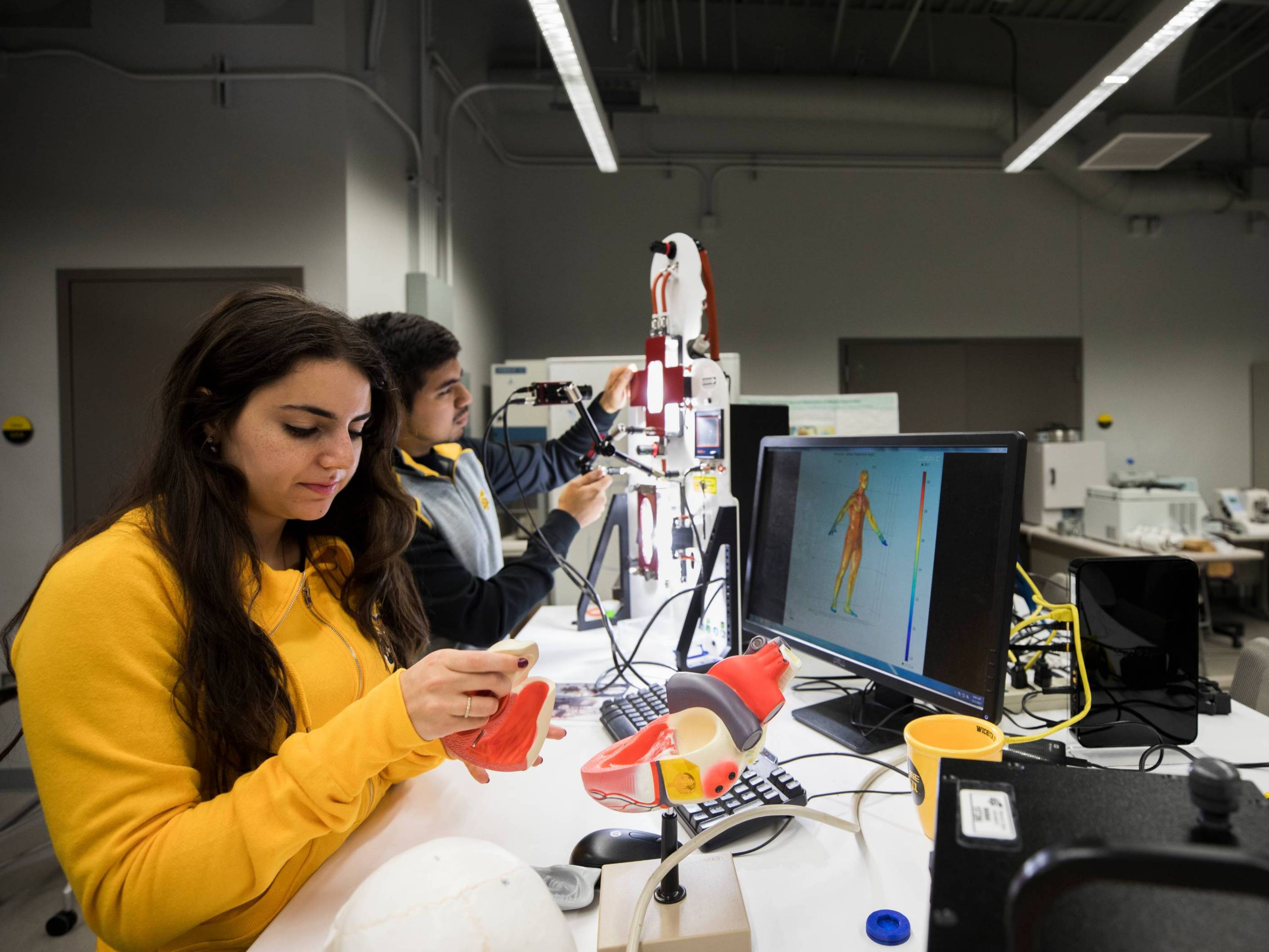 Students working in the biomedical lab.