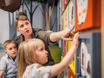 Museum Teacher