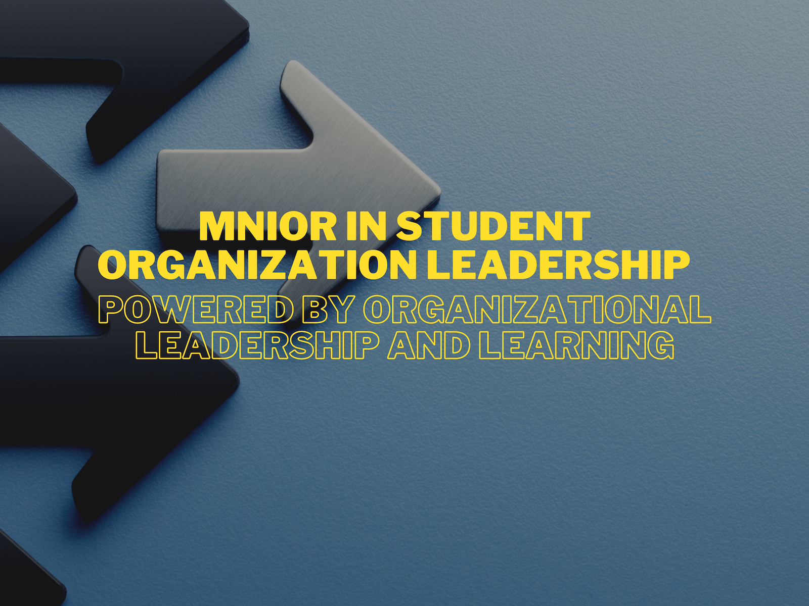 Text says Minor in Student Organization Leadership
