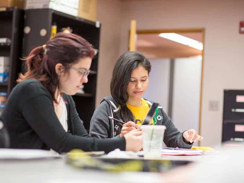 Two education students studying together.