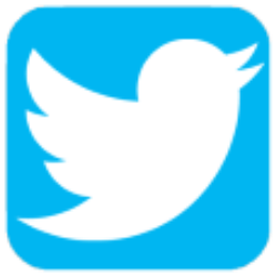 Twitter logo button