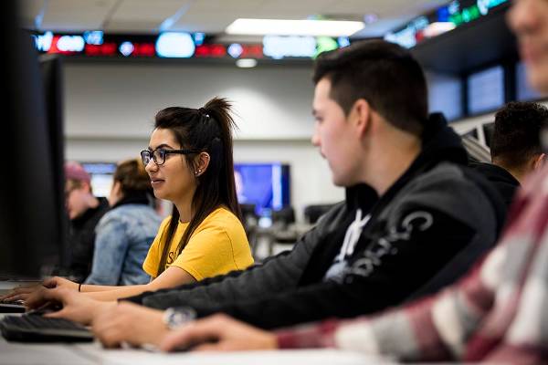 Two students working on computers and comparing information. 