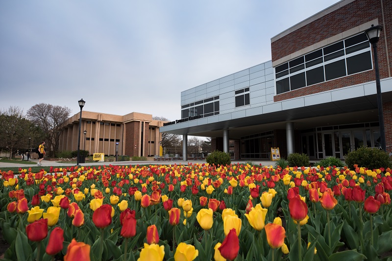 View of Clinton Hall through the tulips
