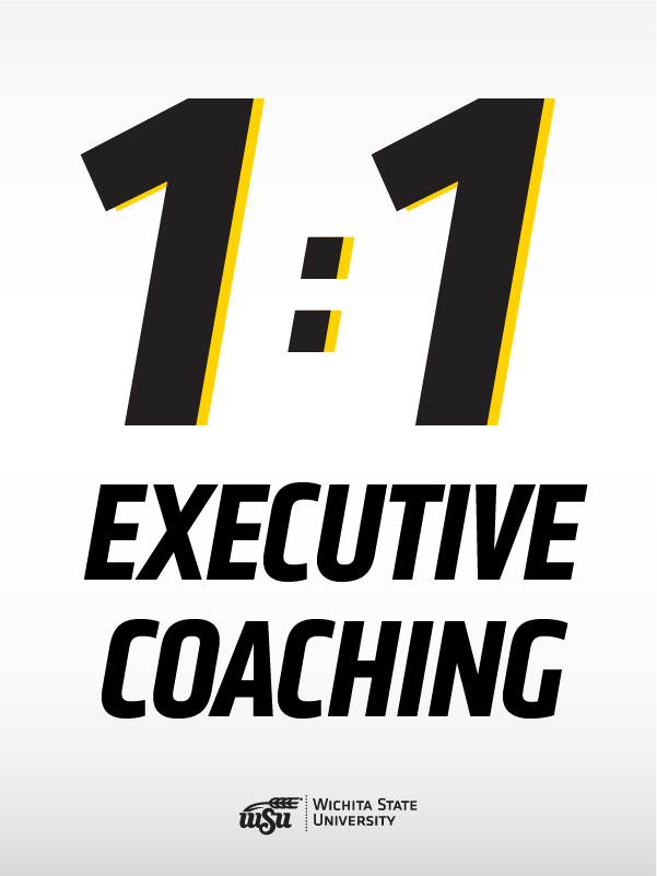 1:1 Executive Coaching