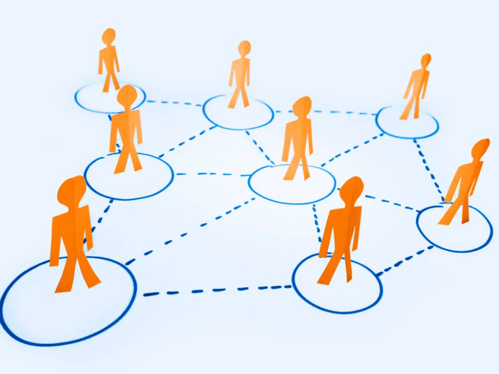 Organizational chart