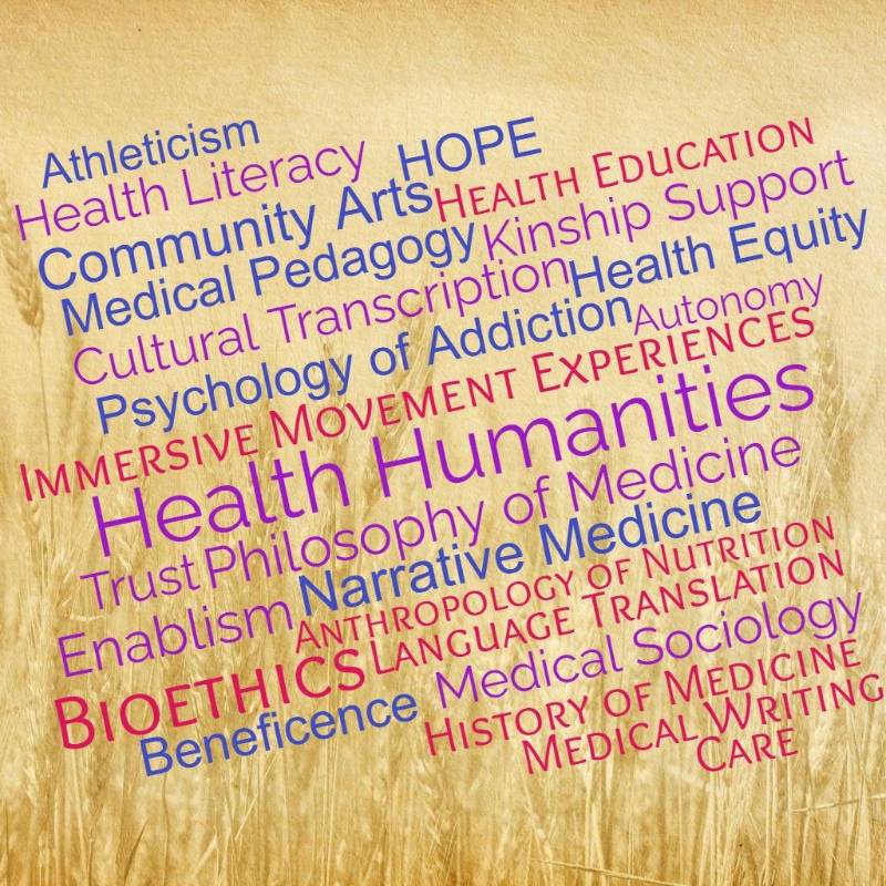 Wordcloud of health humanities terms with wheatfield background