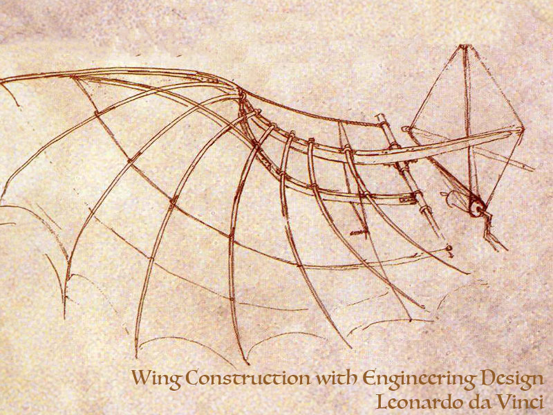Divinci Wings