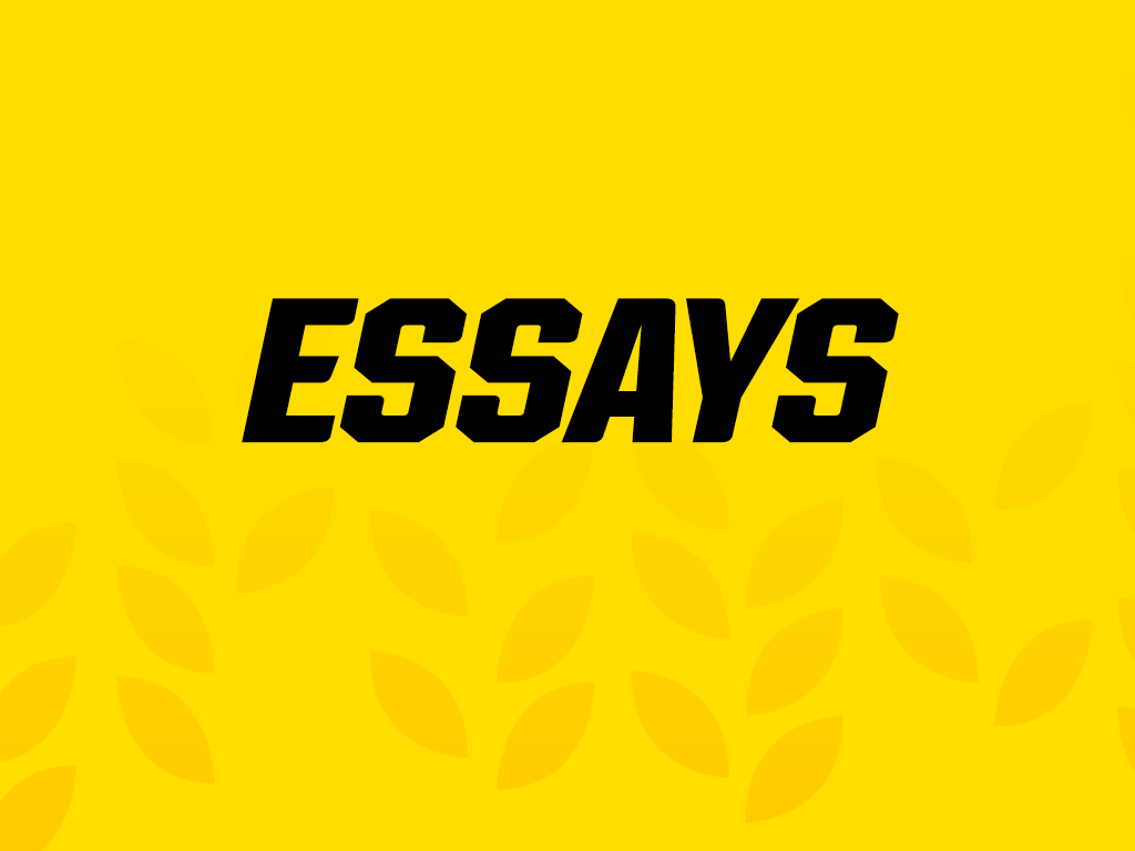 Essays Essays