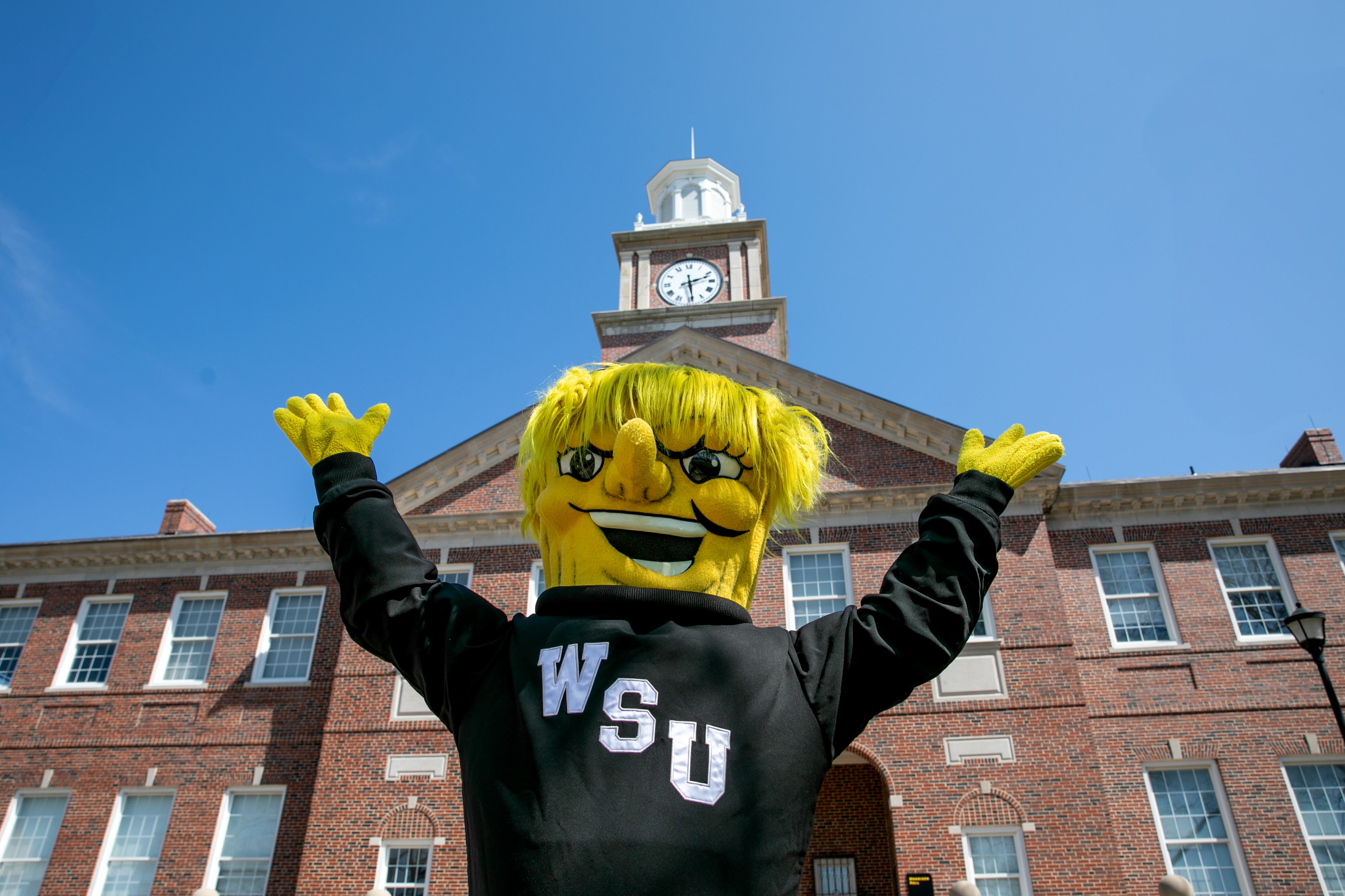 WuShock on campus with blue sky and brick building in the background