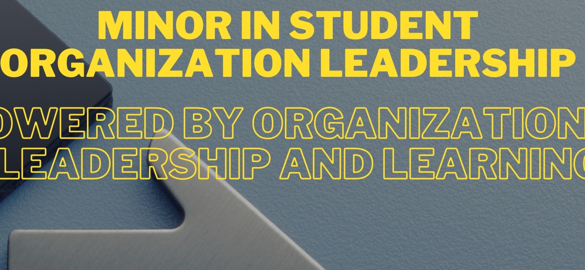 Text says Minor in Student Organization Leadership