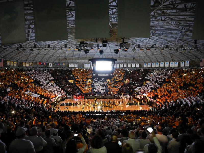 arena photo