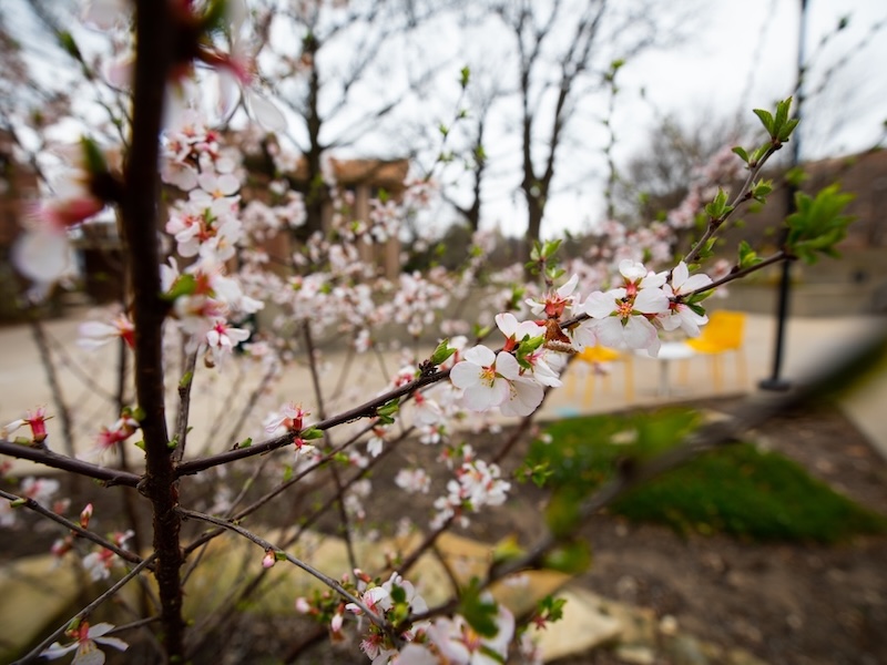 View Contact Information