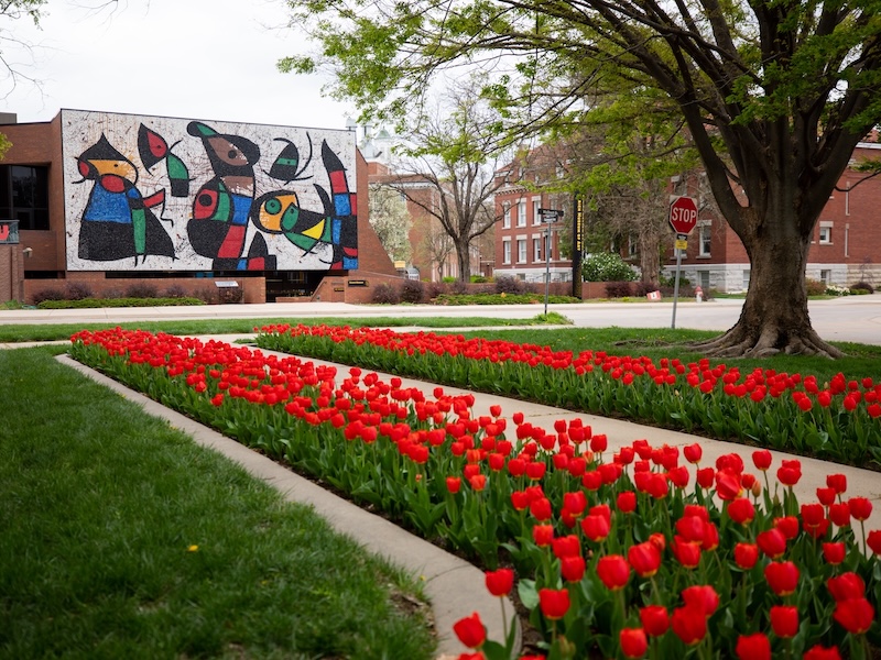 Placement for English and Math