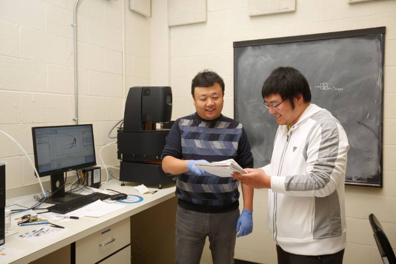 Faculty Member in Research Lab With Student