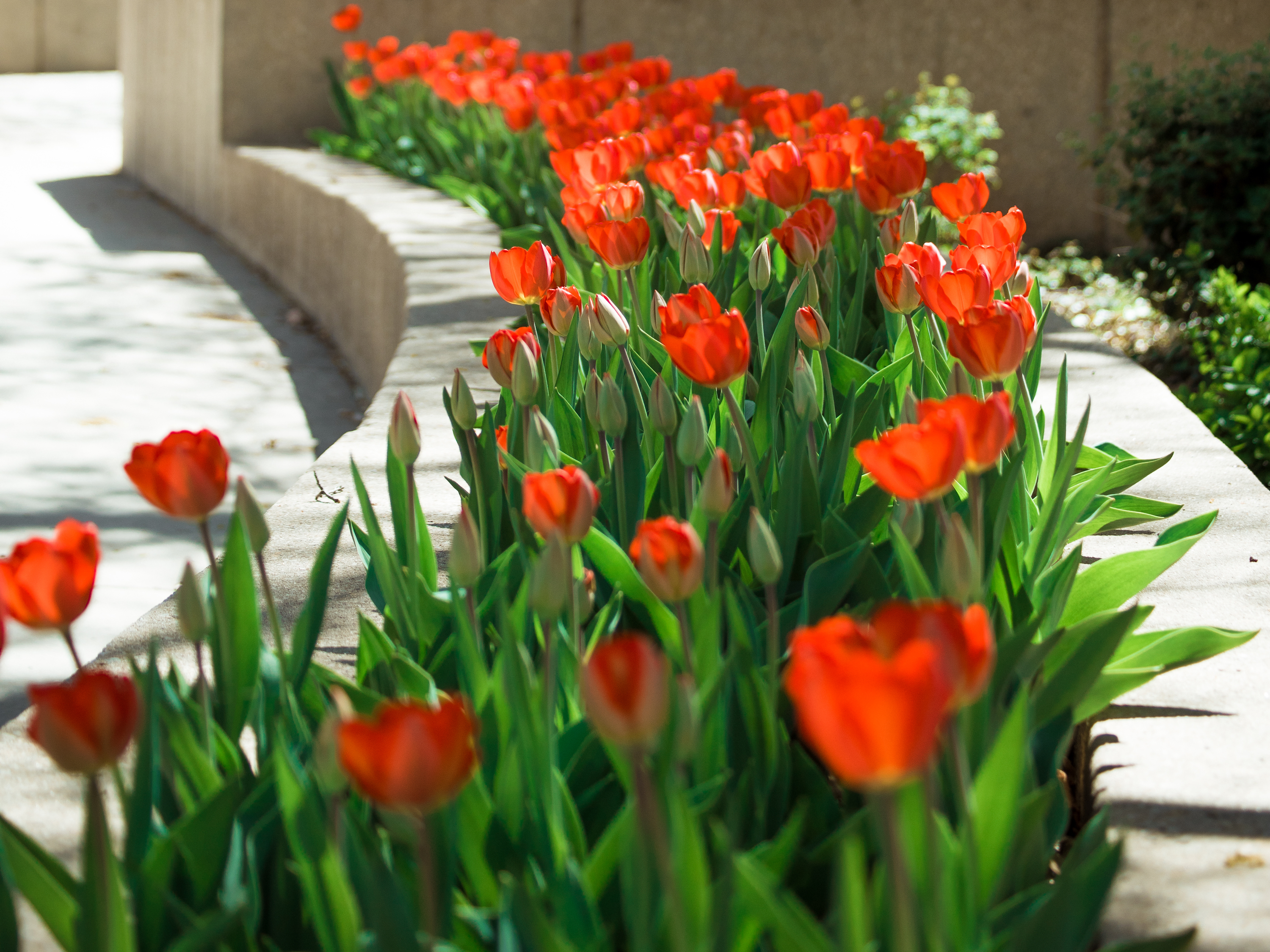 red