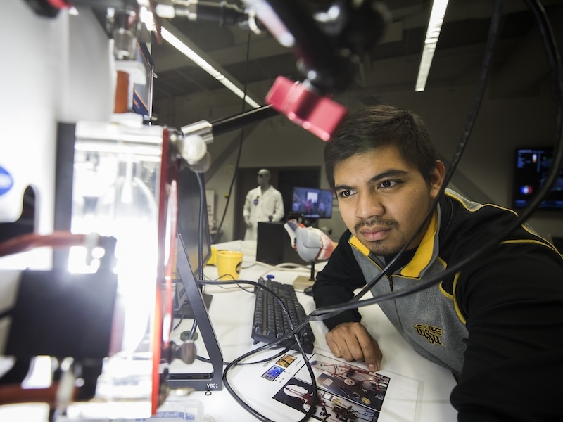 Undergraduate Program
