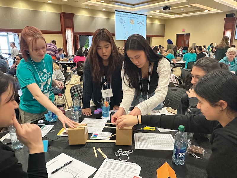 STEM Activity