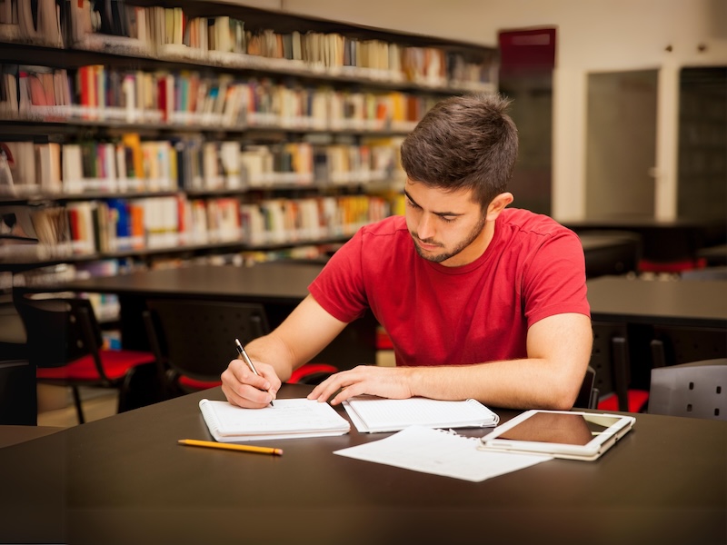 Shocker Bridge to Math Success
