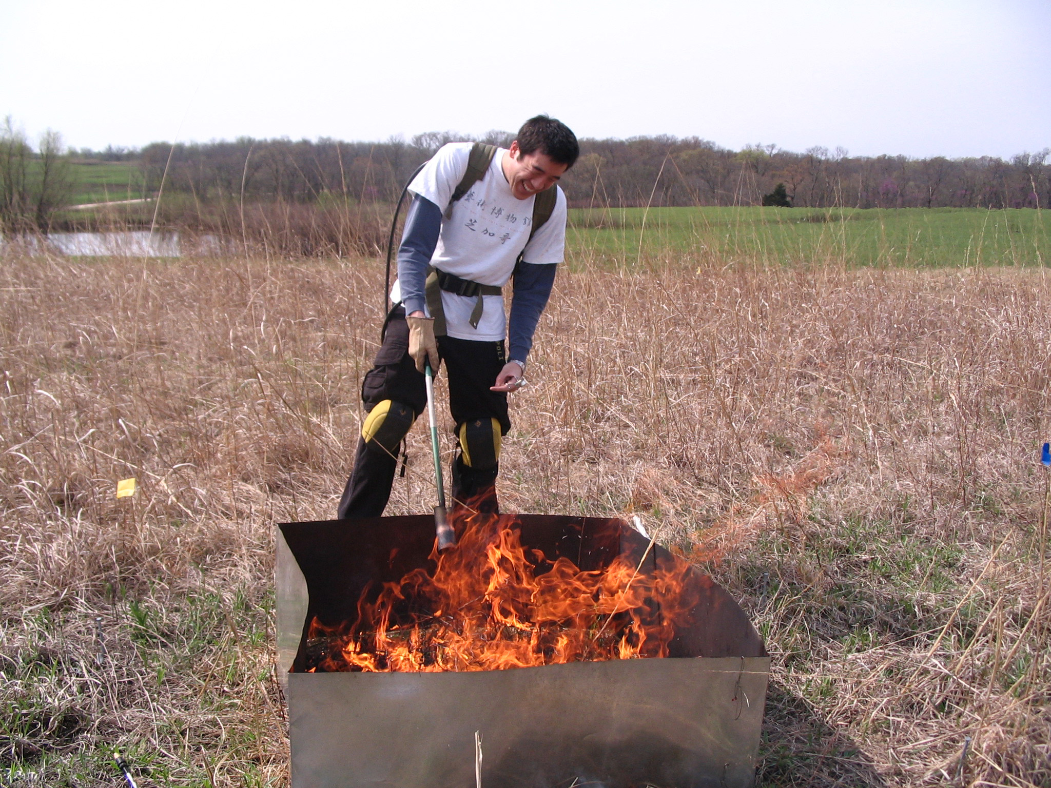 controlled burn in a plot