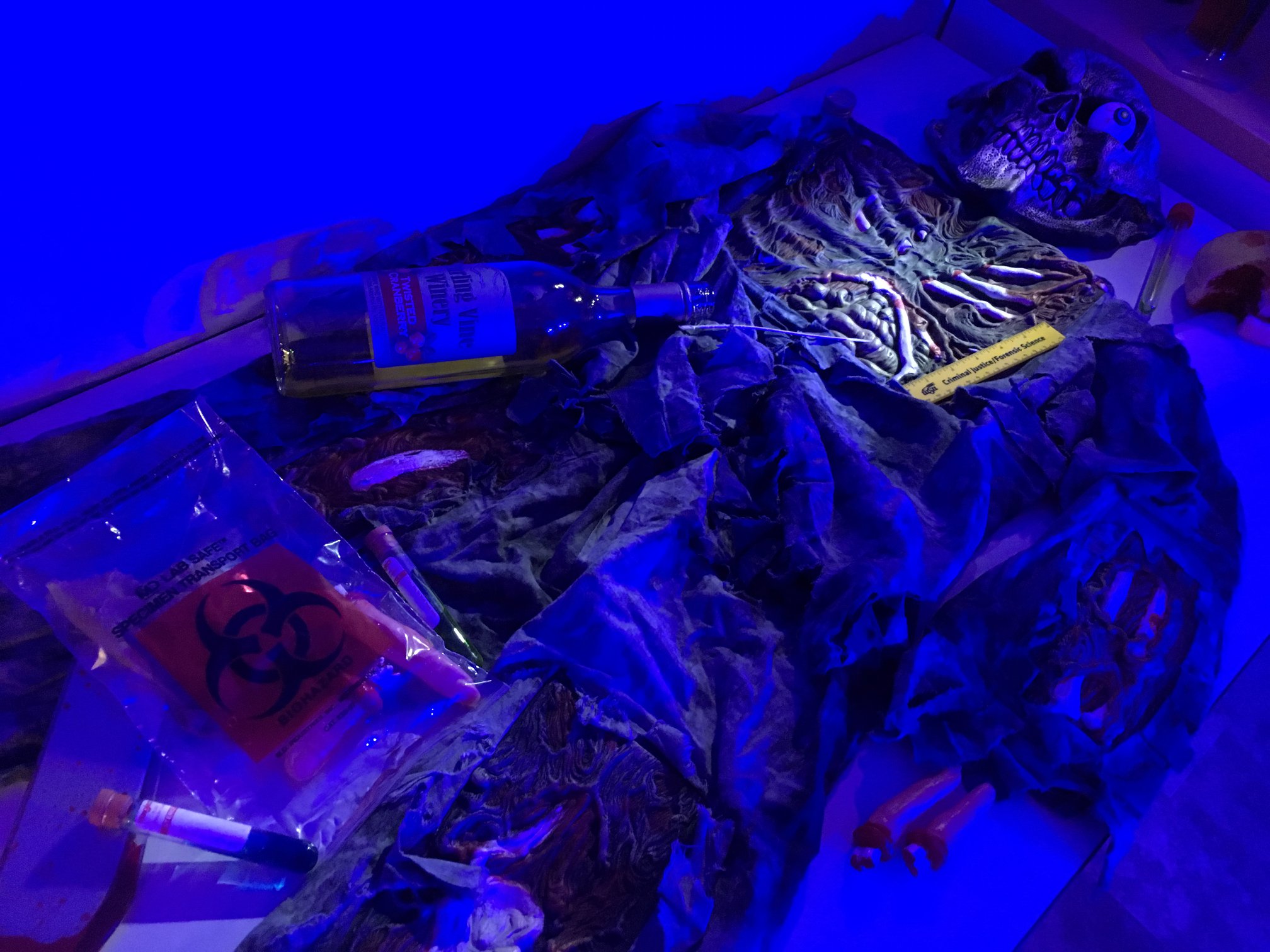 Photograph of a simulated cadaver in low-or-blacklight. 