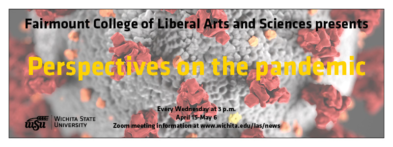 Perspectives on the pandemic decorative banner