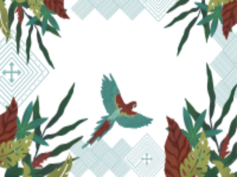 25 Years of biocultural conservation image