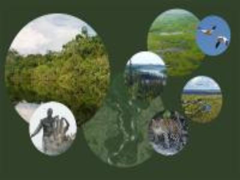 Great Wetlands of the World Image