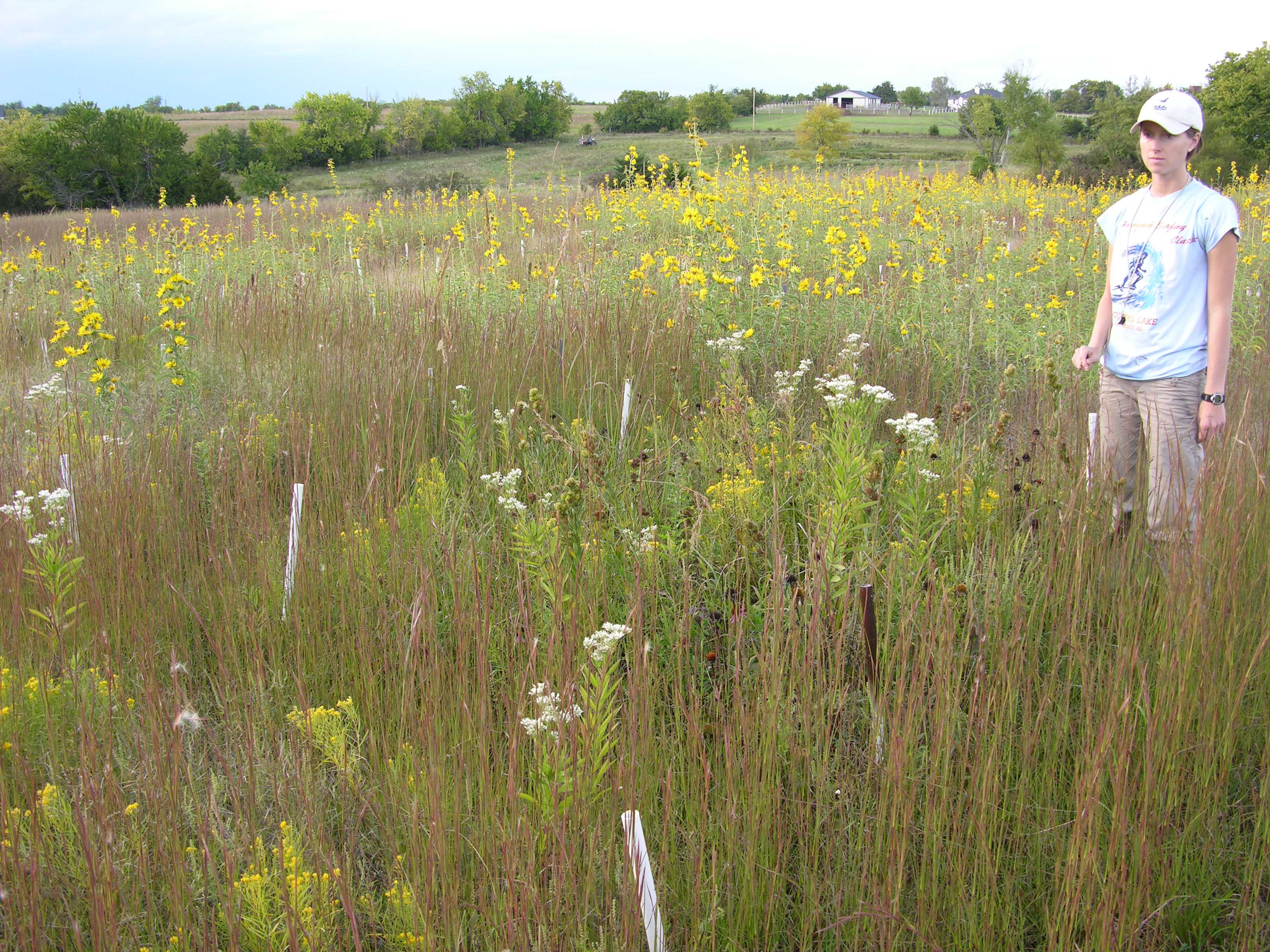 prairie plot with researcher (close up)