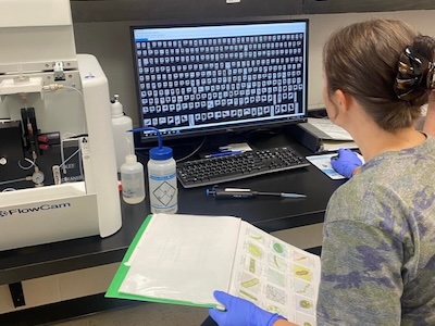 Student using computer for research