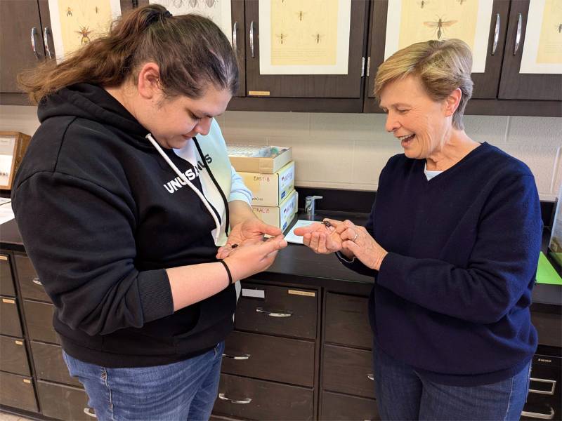 Dr. Mary Liz Jameson, professor of biological sciences at Wichita State University, shows off the dung beetles housed in the Jameson Lab at Hubbard Hall to one of her students.