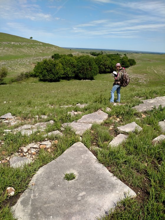 Researcher in field