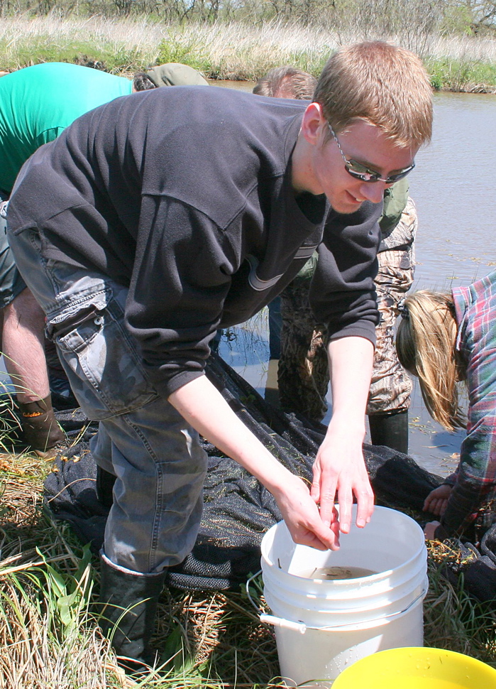 Fish Survey