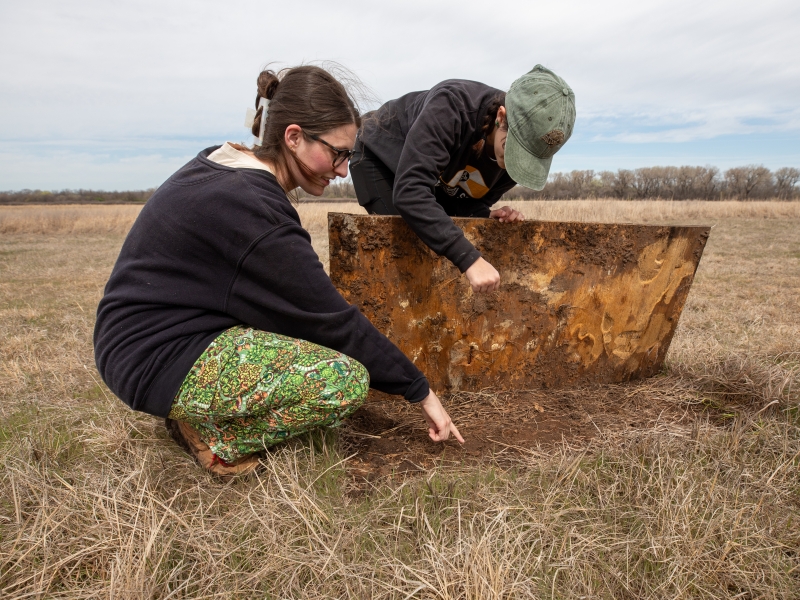 Students lift a plank of wood to view the life living underneath