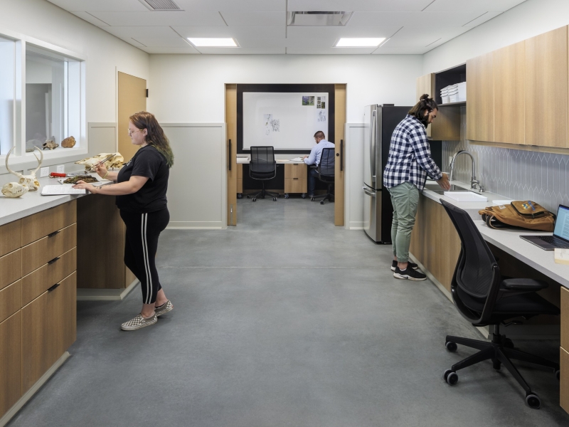 Researchers and students conduct research in one of the labs at the Youngmeyer Ranch Reserve. One researcher looks at bones at one of the tables, while another reads papers in the backgound. Another is washing his hands at the sink.