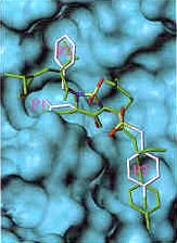 Computer generated molecule diagram.
