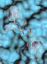 Computer generated molecule diagram. 