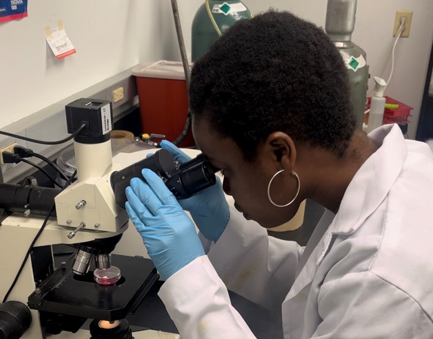 Graduate student using a microscope